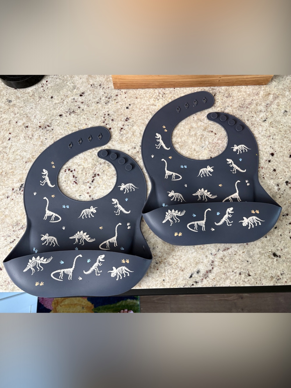 Neat Baby Bib, Dinosaur Print
